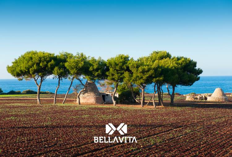 Primavera in Puglia: 5 posti imperdibili da visitare