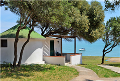 Check-in 29, 30, 31 Maggio o 1 Giugno: 2 Notti in Tukul Sunset Garden per 2 persone