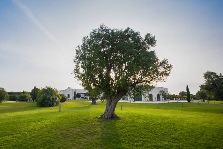 Hotel Acaya Golf & Spa 