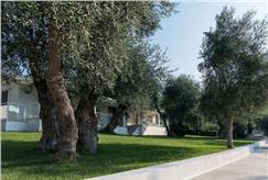 1 Notte in Agriturismo con Cena, Visita al Frantoio e Degustazione di Olio per 2 persone