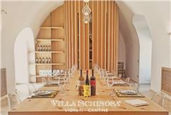 Wine & Oil Tour con Visita della Cantina e del Vigneto con Degustazione Tipica per 1 persona