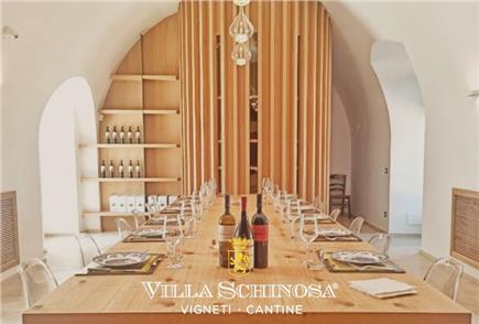 Wine & Oil Tour con Visita della Cantina e del Vigneto con Degustazione Tipica per 1 persona