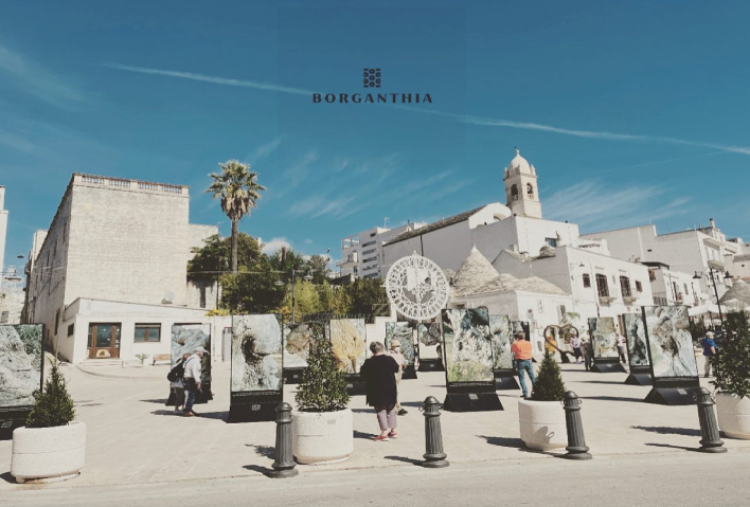 Borganthia