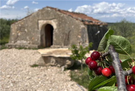 Passeggiata nella Biodiversità con Degustazioni Tipiche per 1 o 2 persone
