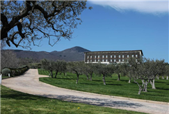 31/12: 1 Notte di Capodanno con Cenone con Musica anche con Pranzo di Capodanno per 1 persona