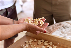 "Mani in Pasta" e Cooking Class con Pranzo o Degustazione per 1 persona