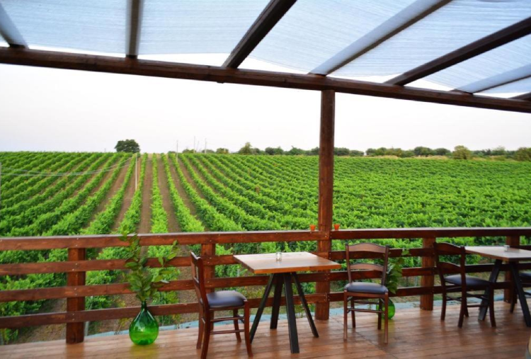 14/02: 1 Notte a San Valentino in Mezza Pensione per 2 persone