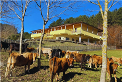 Dal 31 Dicembre al 2 Gennaio: 2 Notti a Capodanno con Cenone con Musica e Pranzo di Capodanno per 1 persona	