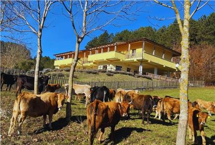 prodotto