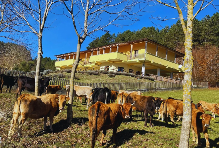 Rifugio La Principessa 