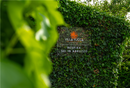 Abruzzo: 1 Notte tra la Natura con Visite Guidate tra Cantina e Vigneto con Degustazione e Aperitivo per 2 persone