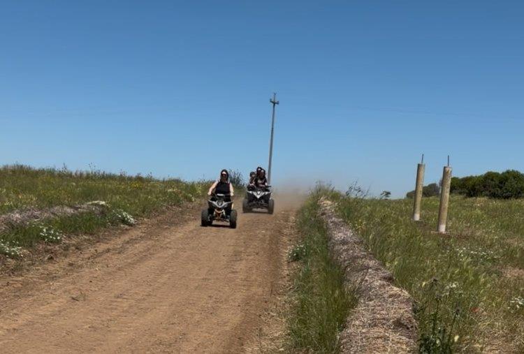 Giro con Quad o Mini Quad per 1 persona