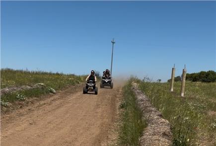 Giro con Quad o Mini Quad per 1 persona